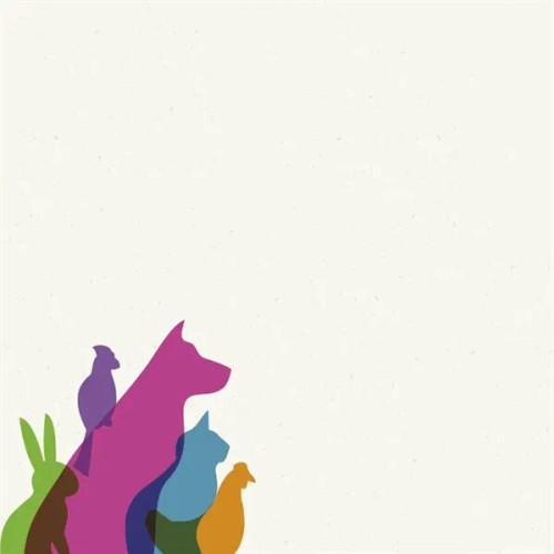 Souvenir® Sticky Note™ 3" x 3" Pad, 25 sheet